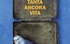 Tanta ancora Vita