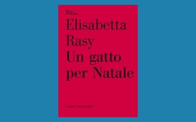 Un gatto per Natale
