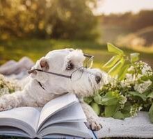 Scrittori e scrittrici che amavano i cani (e le loro storie)