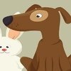 Libri e animali: conosciamo il racconto di Ilaria Colacione con un'intervista tra i suoi protagonisti