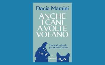 Anche i cani a volte volano