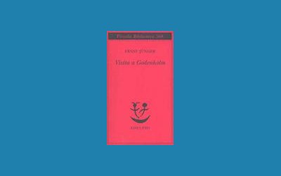 Visita a Godenholm