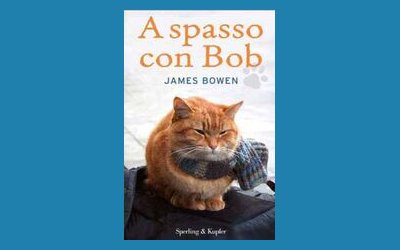 A spasso con Bob