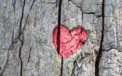 “A chi lo sa”, la poesia di Gesualdo Bufalino sull'impossibilità di definire l'amore