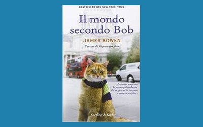 Il mondo secondo Bob