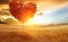 “Tutto nel cuore e tutto il cuore in tutto”: la poesia di Patrizia Valduga