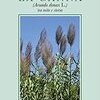 La canna (Arundo donax L.) tra mito e storia