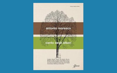 Canto degli alberi