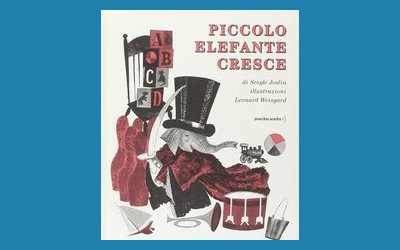 Piccolo elefante cresce