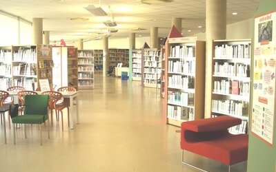 Vita di un bibliotecario ai tempi del Coronavirus