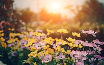 “Marzo”: la poesia di Vincenzo Cardarelli che celebra la primavera