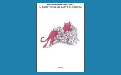 Il compito di un gatto di strada