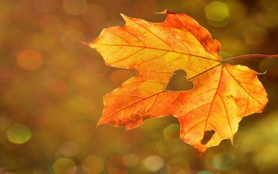 Autunno di Vincenzo Cardarelli: testo e analisi della poesia 