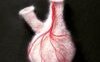 Il cuore e la tenebra