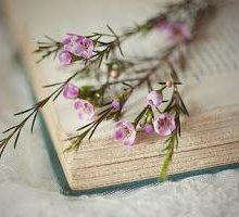 Donne e libri: quali sono i personaggi femminili più amati? 
