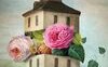 I quaderni botanici di Madame Lucie