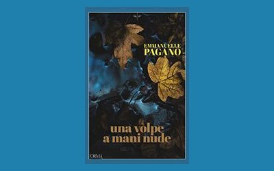 Una volpe a mani nude