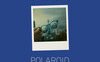 Polaroid Stories