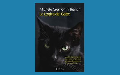 La logica del gatto