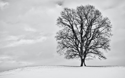“Il primo gennaio” di Eugenio Montale: una poesia per Capodanno