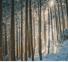 “Sonetto d'inverno”: la poesia di Ada Negri sull'amore che scalda il cuore