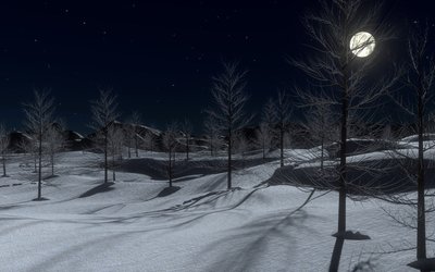 Com'è bella la luna di dicembre: la poesia di Sandro Penna sulla fine dell'anno