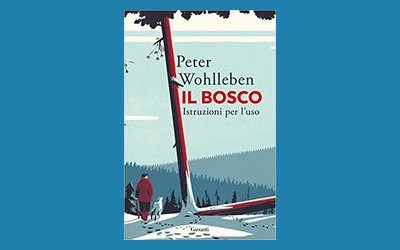 Il bosco. Istruzioni per l'uso