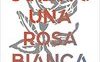 Coltivo una rosa bianca