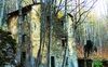 Il tempo del tuono. L'ultima estate in Appennino