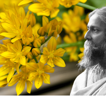 “Scintille”, l'essenza della primavera nei versi di Rabindranath Tagore