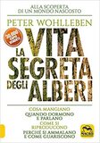 La vita segreta degli alberi