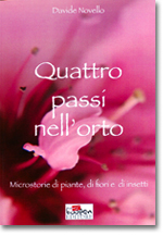 Quattro passi nell'orto
