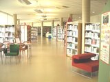 Vita di un bibliotecario ai tempi del Coronavirus