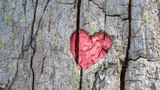 “A chi lo sa”, la poesia di Gesualdo Bufalino sull'impossibilità di definire l'amore