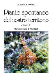 Piante spontanee del nostro territorio. Volume III. Flora del mare di Monopoli