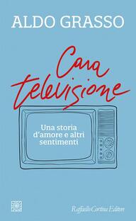 Cara televisione. Una storia d'amore e altri sentimenti