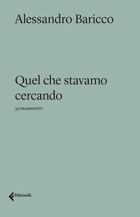 Quel che stavamo cercando. 33 frammenti