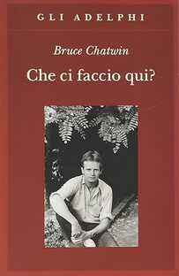 Che ci faccio qui?