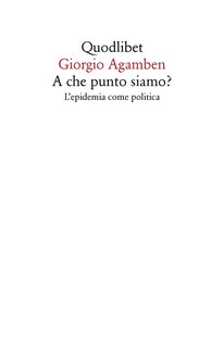 A che punto siamo? L'epidemia come politica