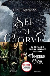 Sei di Corvi. Grishaverse