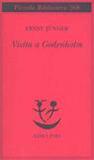 Visita a Godenholm